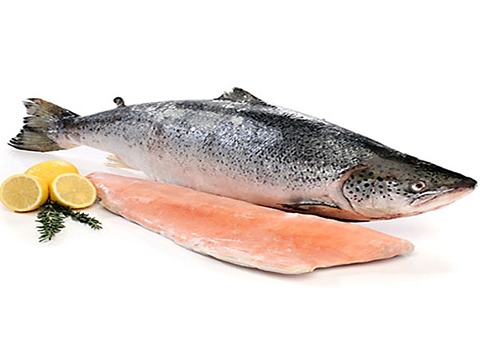خرید و قیمت ماهی آزاد نروژی + فروش عمده